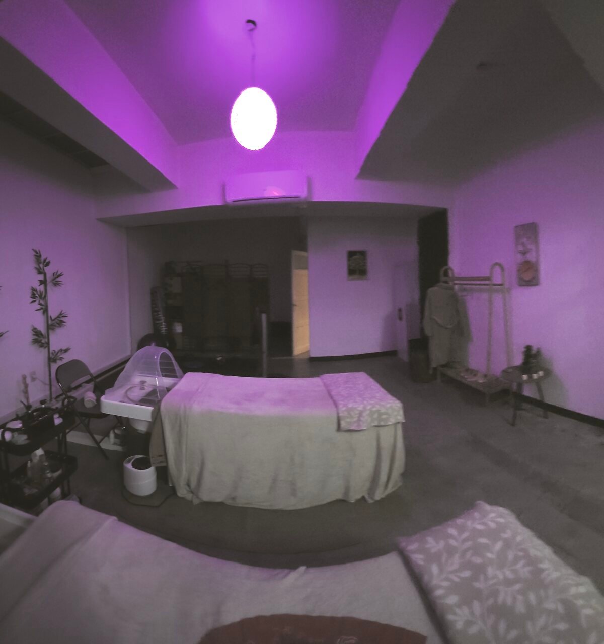 El ambiente
